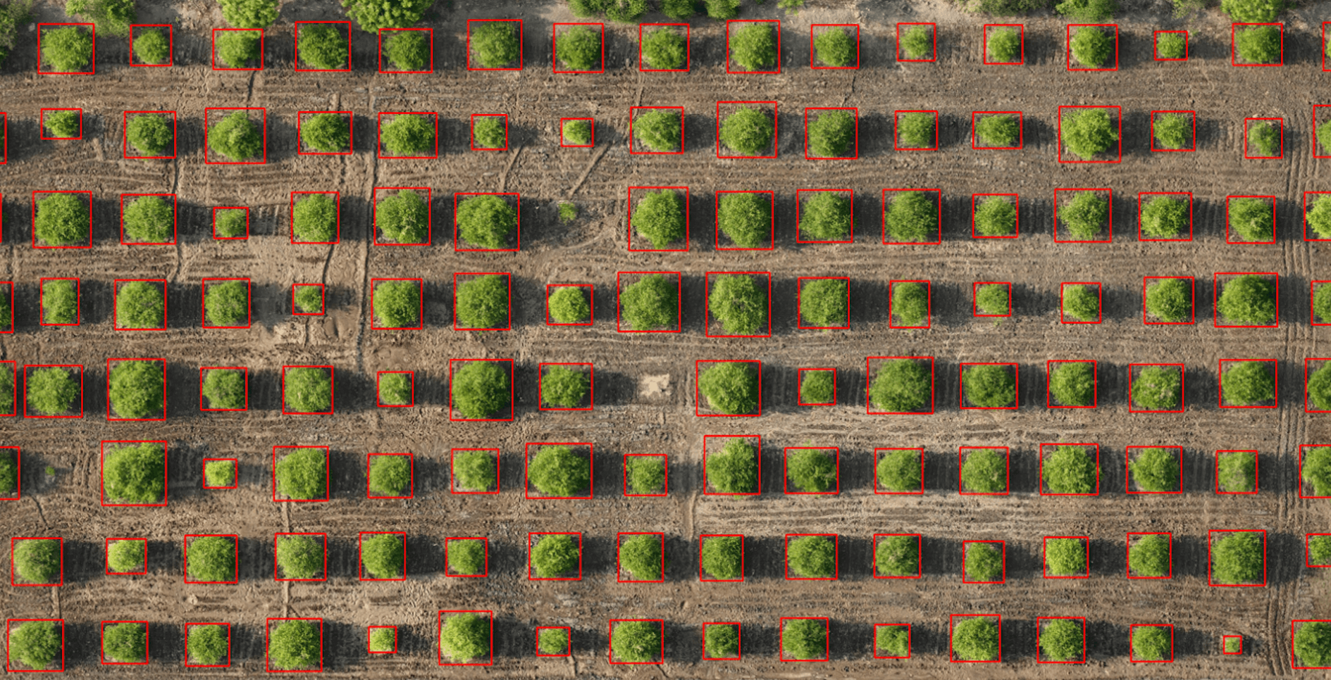 AI driven agroforestry and ecological monitoring platform